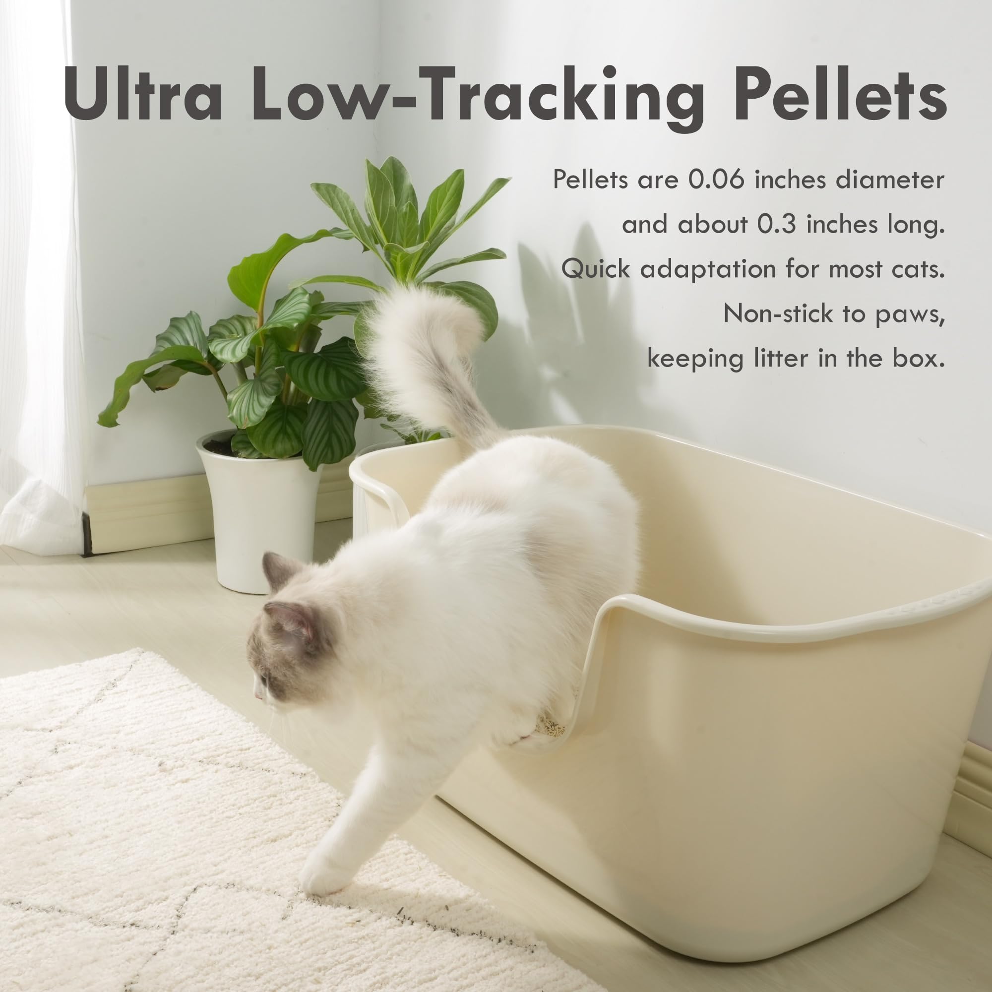 Lady N Cat Attract Tofu Litter | 9lb Natural Plant-Based Pellet | Ideal for Kittens & Multi-Cat Homes