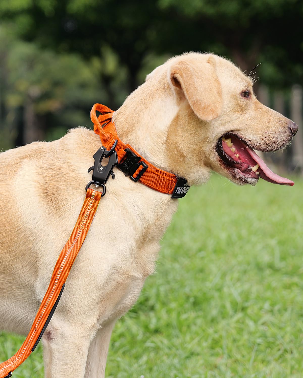 Joytale Tactical Dog Collar With Handle, Adjustable Heavy Duty Military Collar With 2 Patches For Training, Suitable For Medium