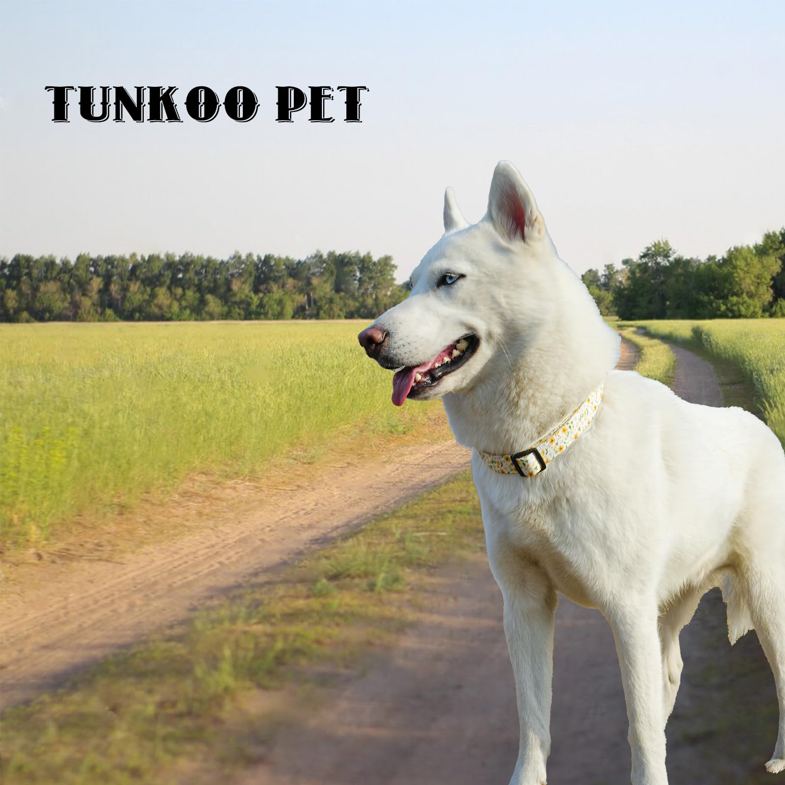 Tunkoo Daisy Flower Dog Collar, Cute Adjustable Floral Collar For Boy And Girl Dogs With Strong Plastic Buckle - For Small Mediu