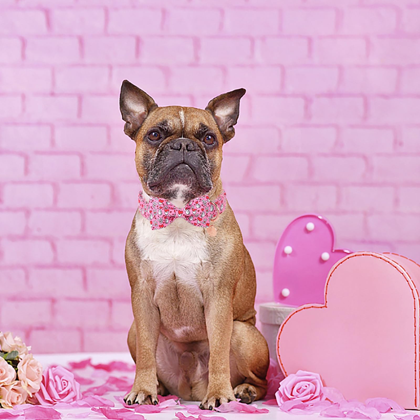Dogwong Valentine Dog Collar With Bow, Pink Heart, Medium, Cotton, Decorative, Small, Medium, Large Dog