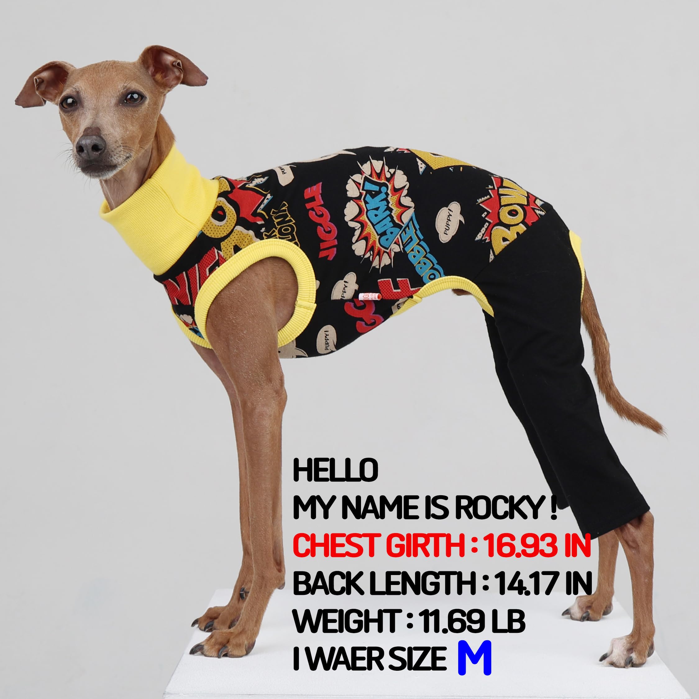 D Doggy Star Italian Greyhound Clothes Stretchable Bow Sleeveless Onesie Whippet For Dog (3Xl,Onesie Bow Black)