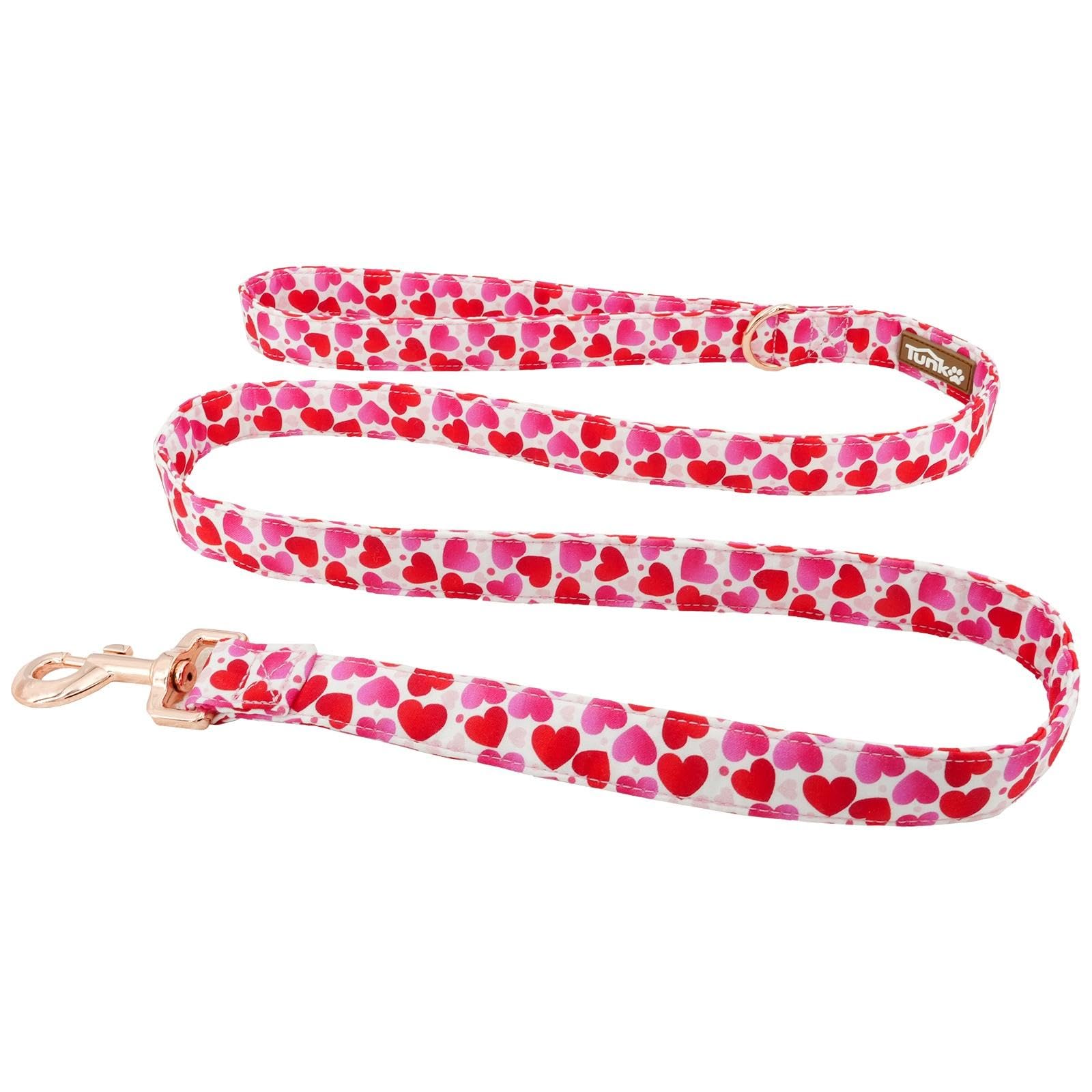 Tunkoo Valentine'S Day Dog Leash With Metal Buckle - Durable, Stylish, And Perfectly Sized For Fall Season Daily Walking L
