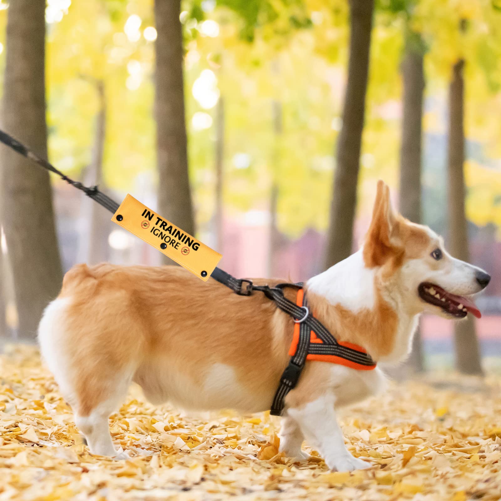 Pwhaoo In Training Ignore Dog Leash Sleeve Dot Not Pet Working Dog Leash Sleeve Service Dog Leash Wrap (In Training Ignore Sleeve)