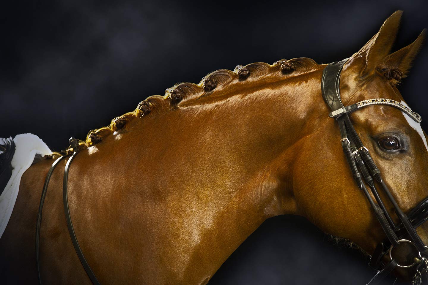 Exhibitor'S Quic Braid For Total Mane & Tail Control 16 Oz Spray