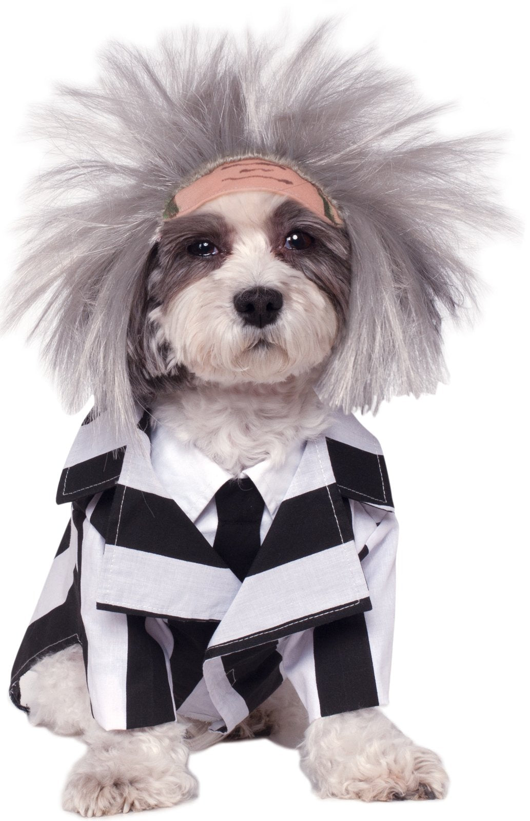 Rubies Beetlejuice Pet Costume, Small
