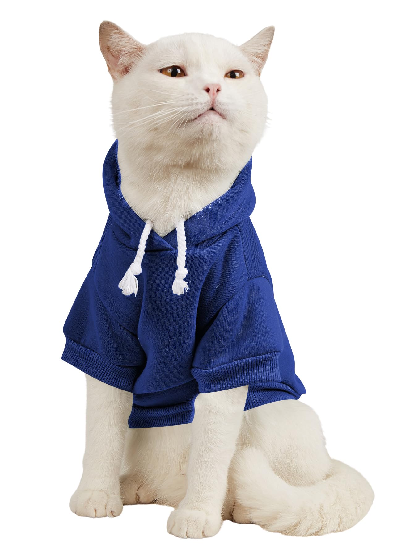 QWEEE Basic Dog & Cat Hoodie, Warm Jacket & Shirt for Puppy to Medium Sizes, Royal Blue XS
