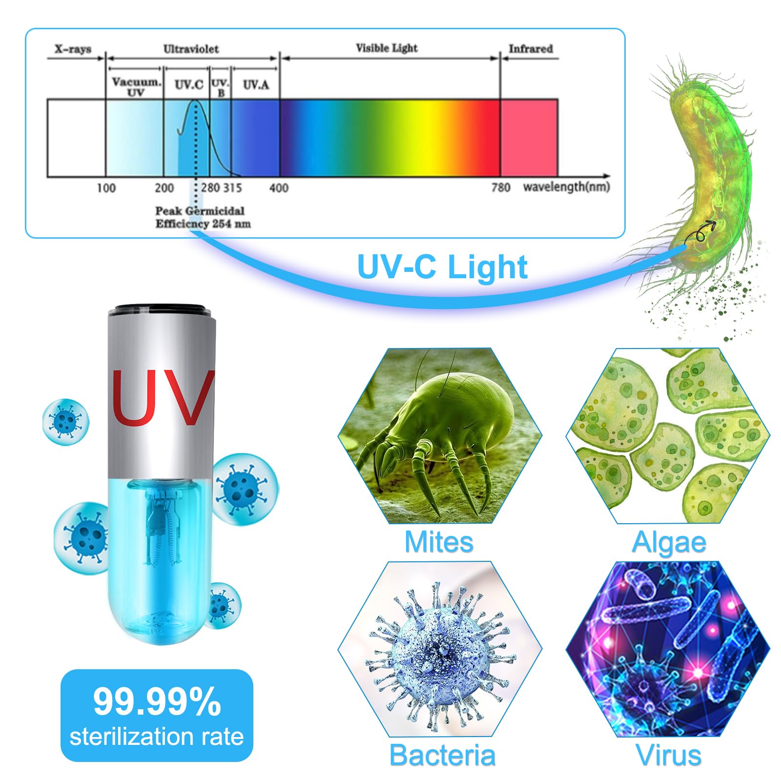 JAHEA Aquarium Clean Light,3 W Mini &13W Submersible Light with UV Test Card,Aquarium Water Clean Green Clear Waterproof Clean L