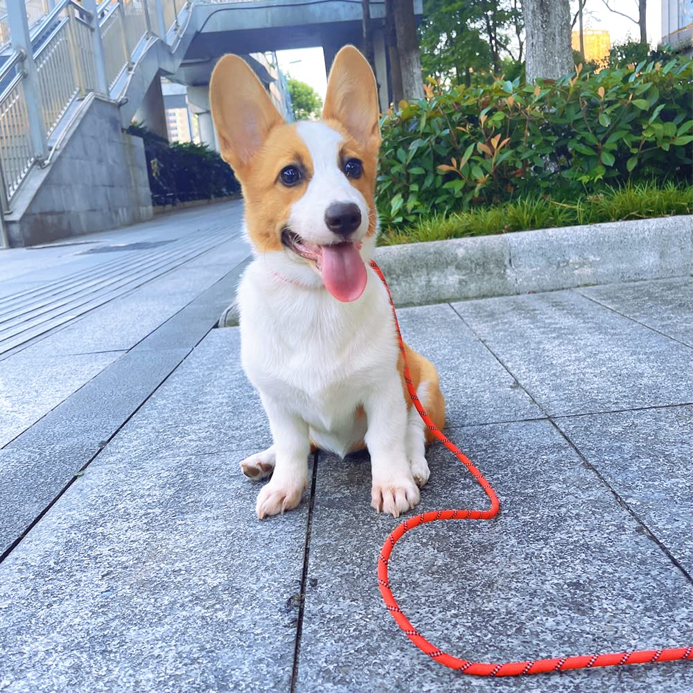 Sepxufore Reflective Long Slip Lead Dog Leash Anti-Choking 12 Ft/20 Ft/30 Ft/50 Ft Rope Training Leash For Medium Dogs Small Puppy Pets (30Ft, Red)