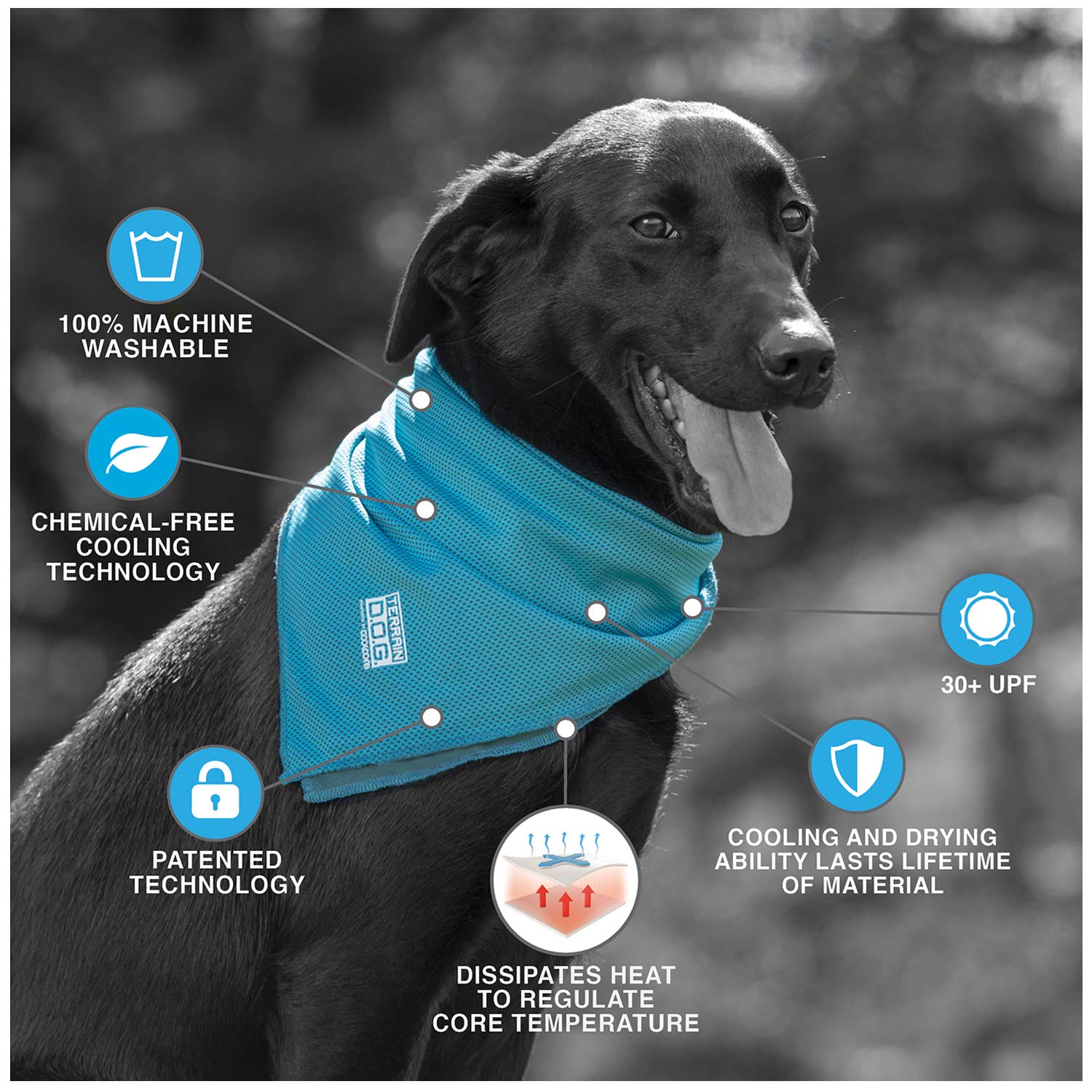 Terrain Dog Cooling Bandana - Cooling Fabric Powered By Coolcore Technology