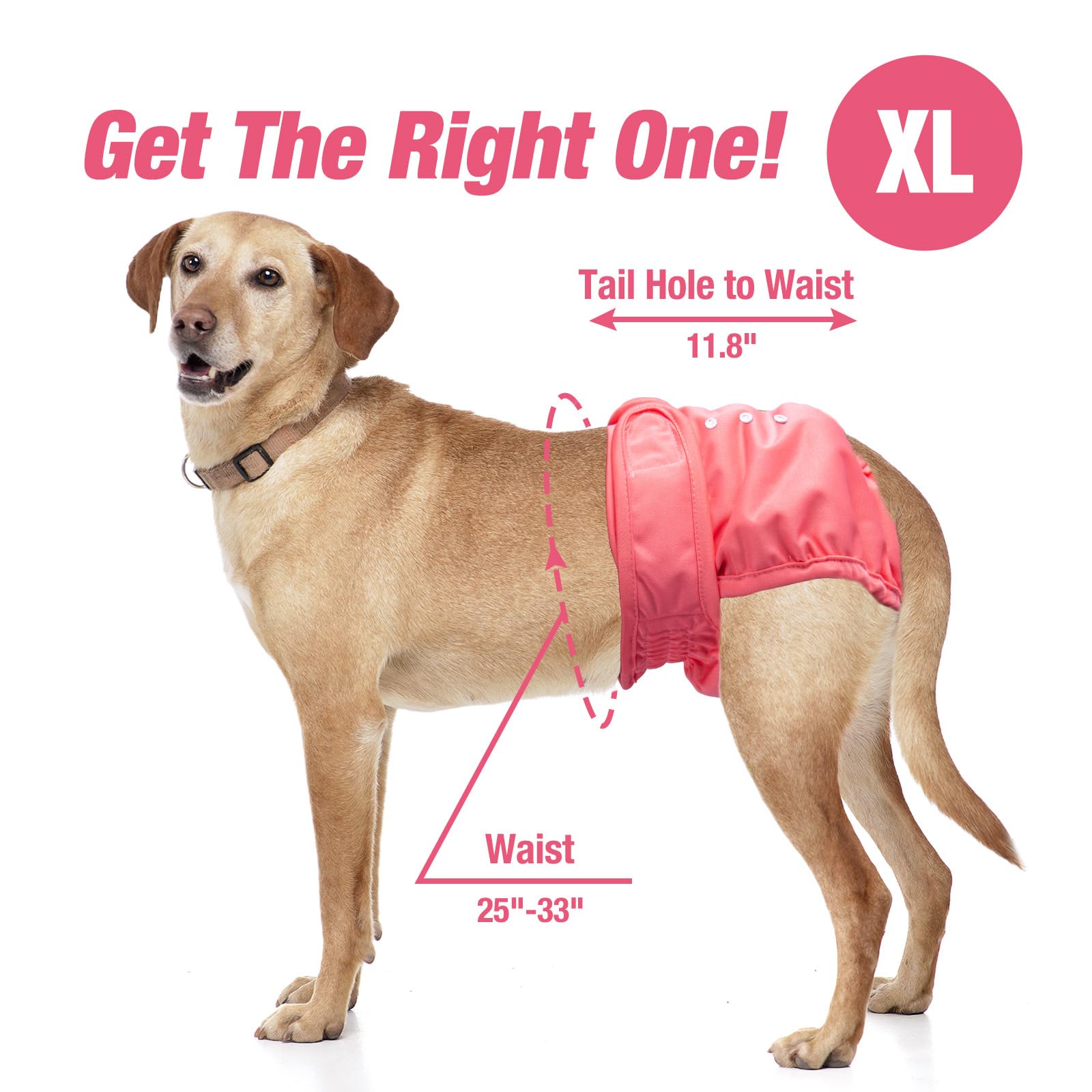 Pet Soft Female Dog Diapers - Reusable X-Large Washable Diapers for Dogs in Heat - 3 Pack (Black, Pink, Blue)