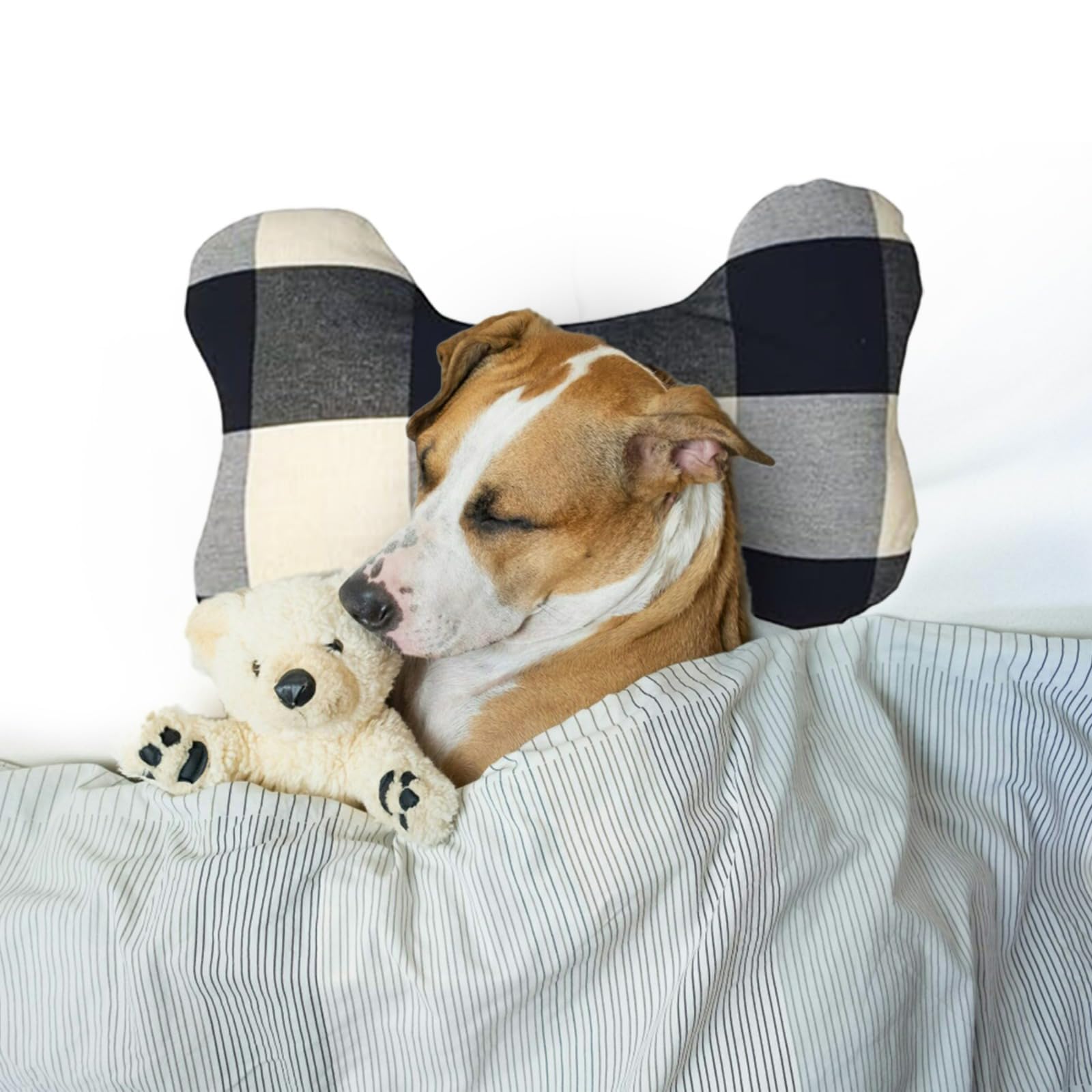 Oye Human Black Bone Shaped Cotton Dog Pillow for Small and Large Dogs