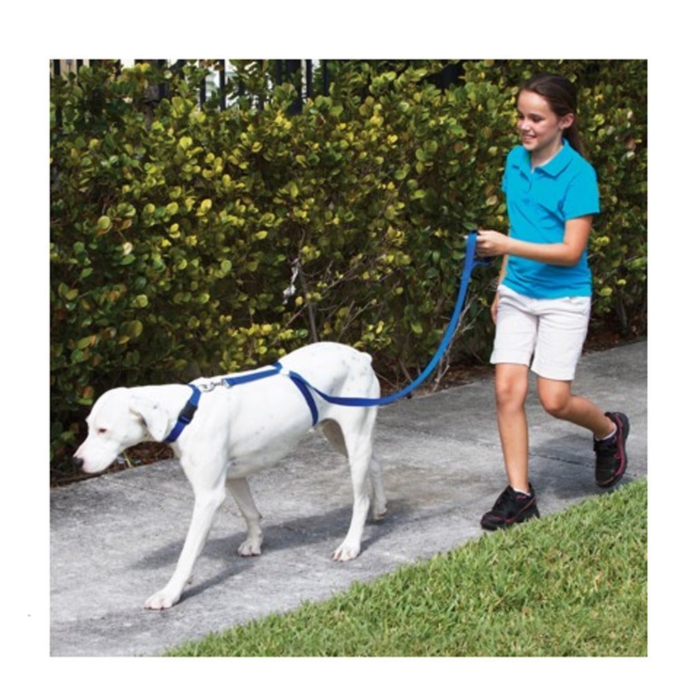 Instant Trainer The Dog Leash