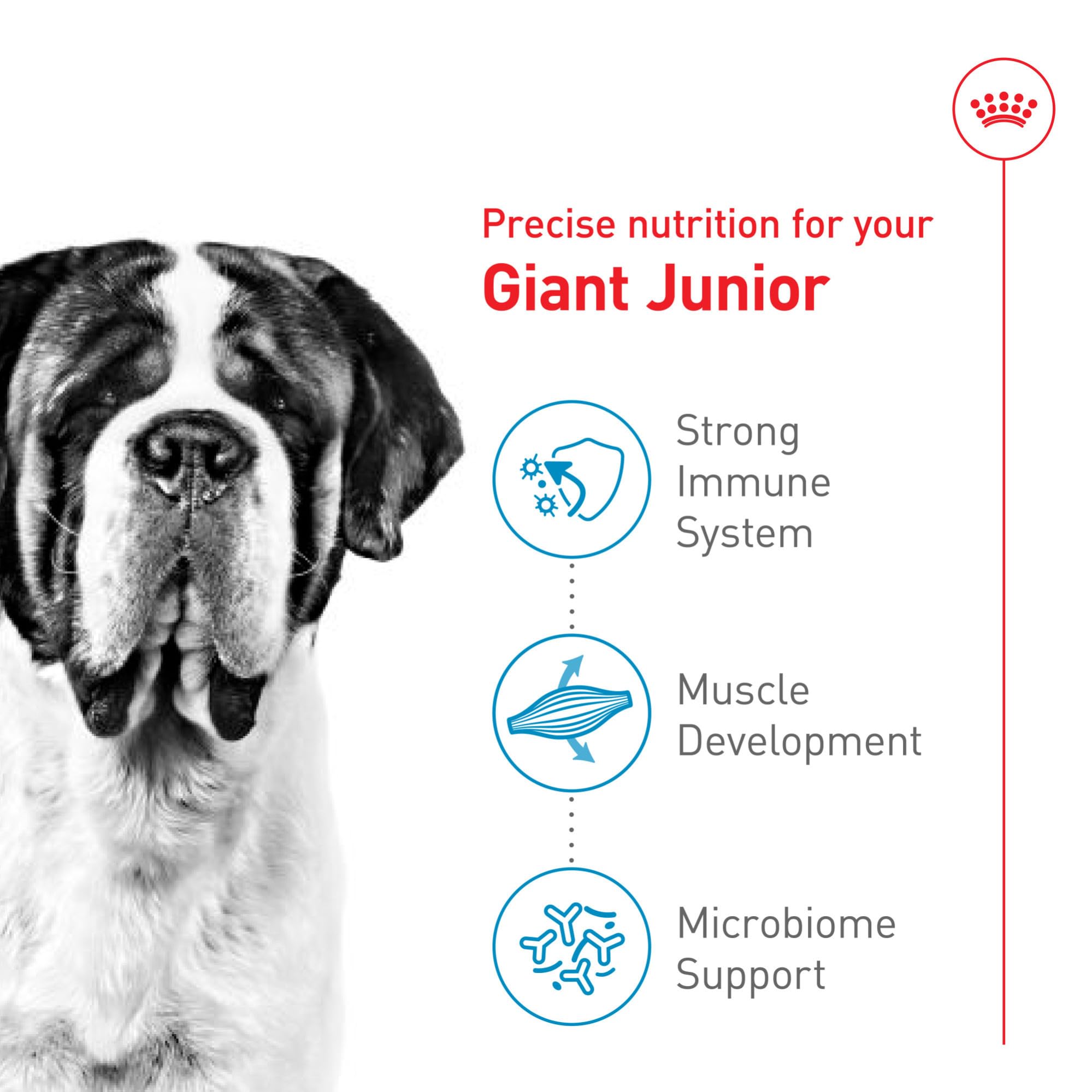 Royal Canin Giant Junior Dry Puppy Food, 30 lb bag