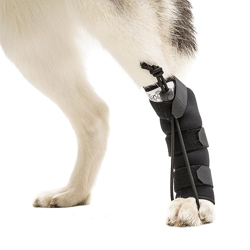 Walkin Rear No-Knuckling Training Sock  Helps Dogs Pick up Their Feet When Knuckling Under or Dragging Their Rear Paws