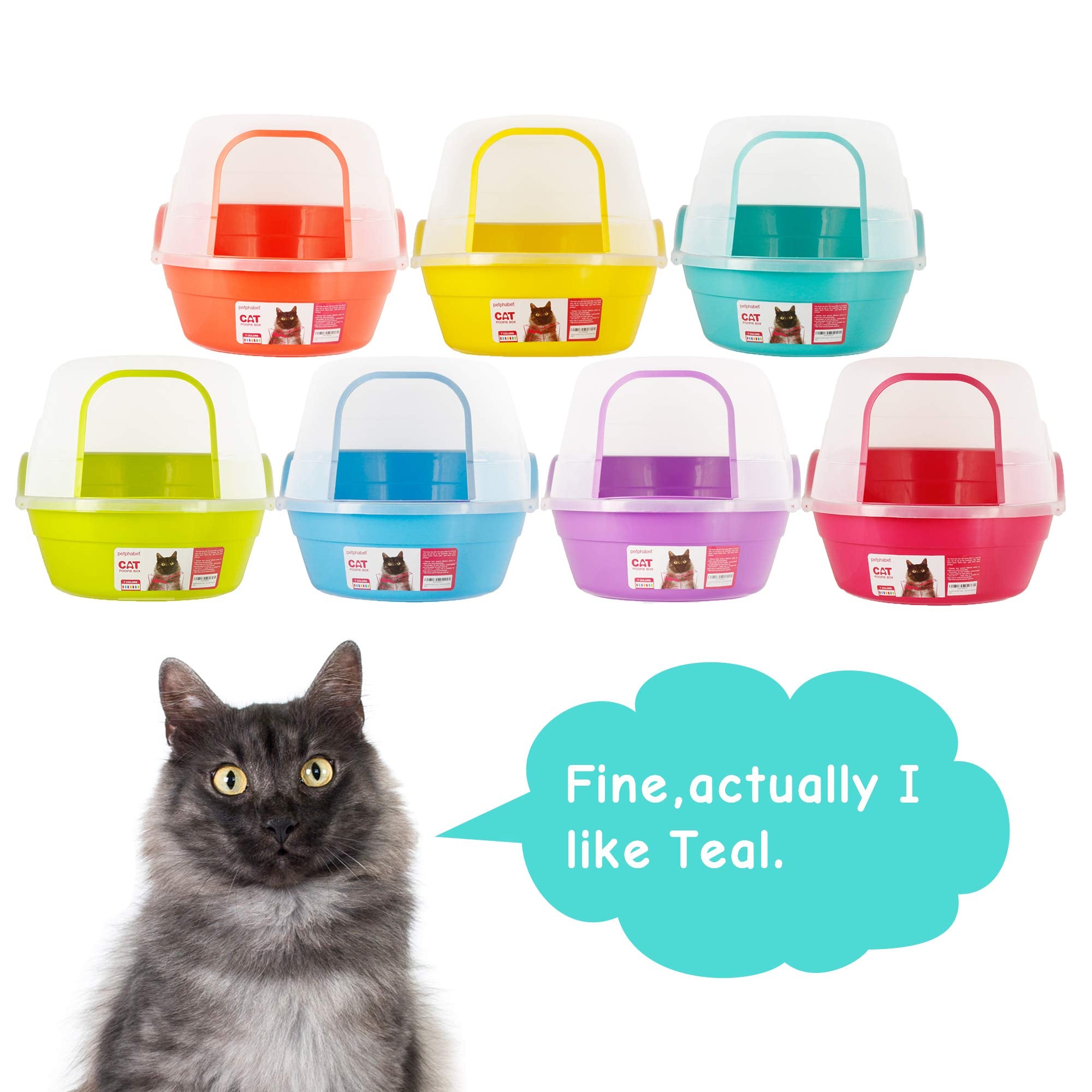 Petphabet Jumbo Hooded Cat Litter Box, X-Large Teal, Plastic, Model 4346885632