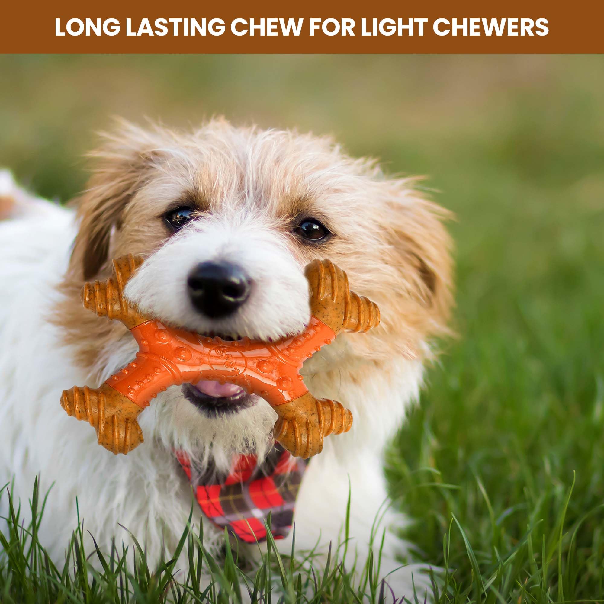 Spot Bam-Bones Dental X-Bone - Made With Bamboo Fiber And A Massaging Rubber Center, Durable Oral Care Dog Chew For Light Chewer