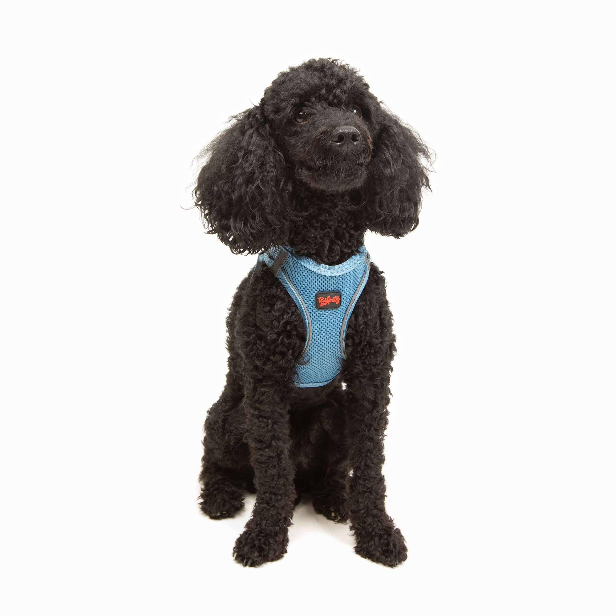 Tailpetz Extra Small Dog Harness Blue, Adjustable Step in No Pull Harness for Small Dogs, Reflective Puppy Harness for Puppy Tra