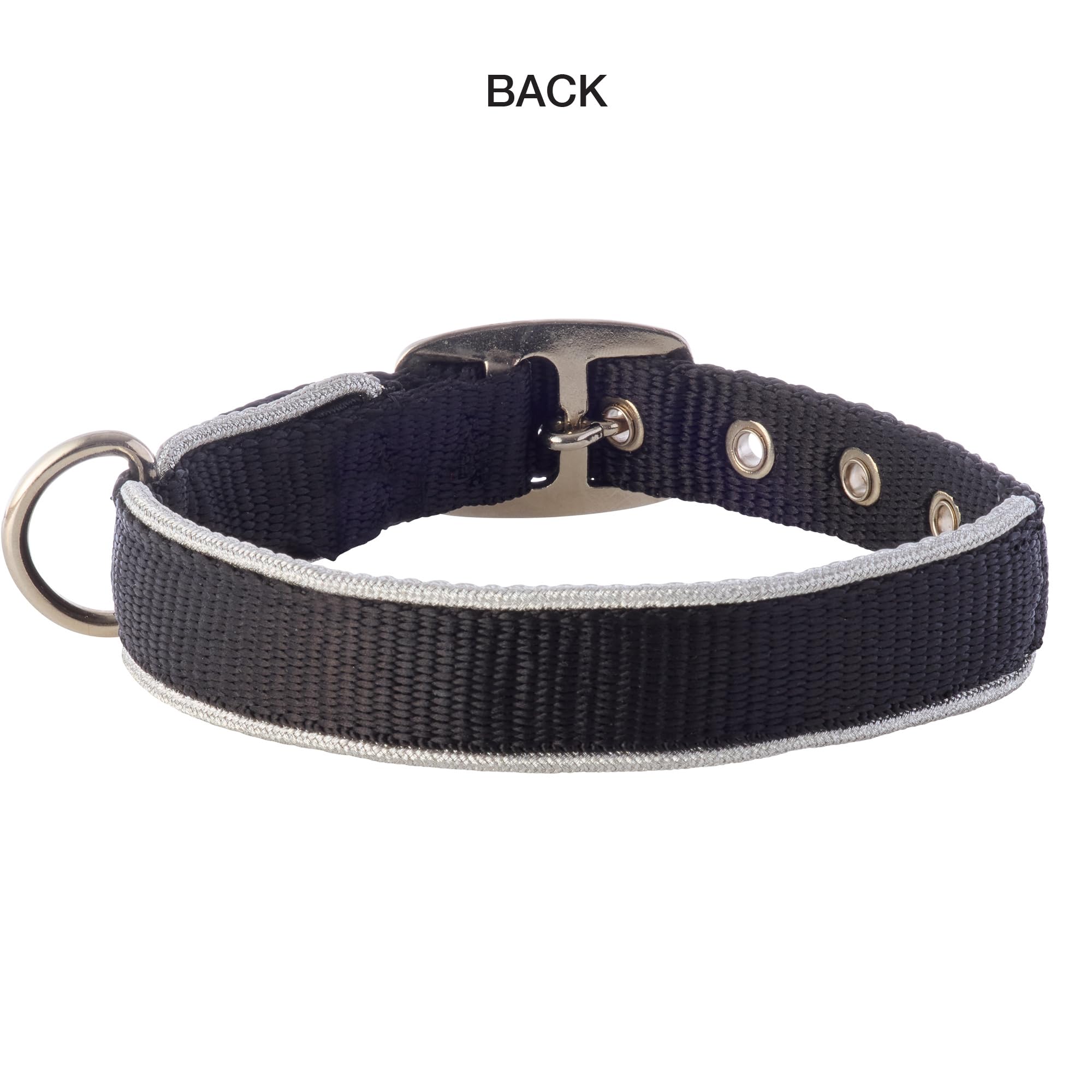 Pet Passion Adjustable Silver Trimmed Dog Collar For Pets Small, Medium And Large Dogs, Silver Black, Large
