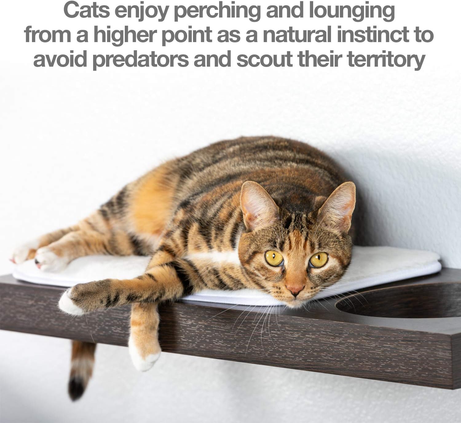 Petfusion Cat Activity Wall Shelves (Available As A 3-Piece Set Or Individual Shelf.) Sisal Surfaces For Cat Scratching & Plush To Lounge, Neutral Design & Color Tones. Easy & Secure Wall Mount