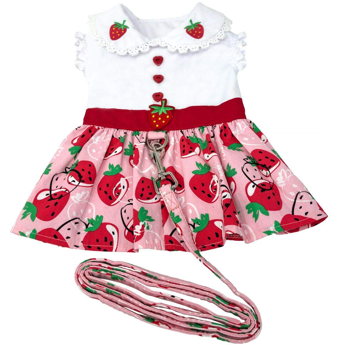 Strawberry Picnic Dog Dress With Matching Leash (Large)