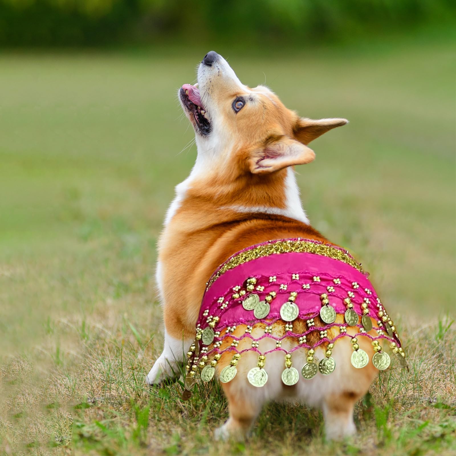 Agloo Funny Dog Belly Dancer Costume - Shaking Hip Outfit With Sequin Butt Clothes,Scarf For Pet Cosplay Parties (Pink)