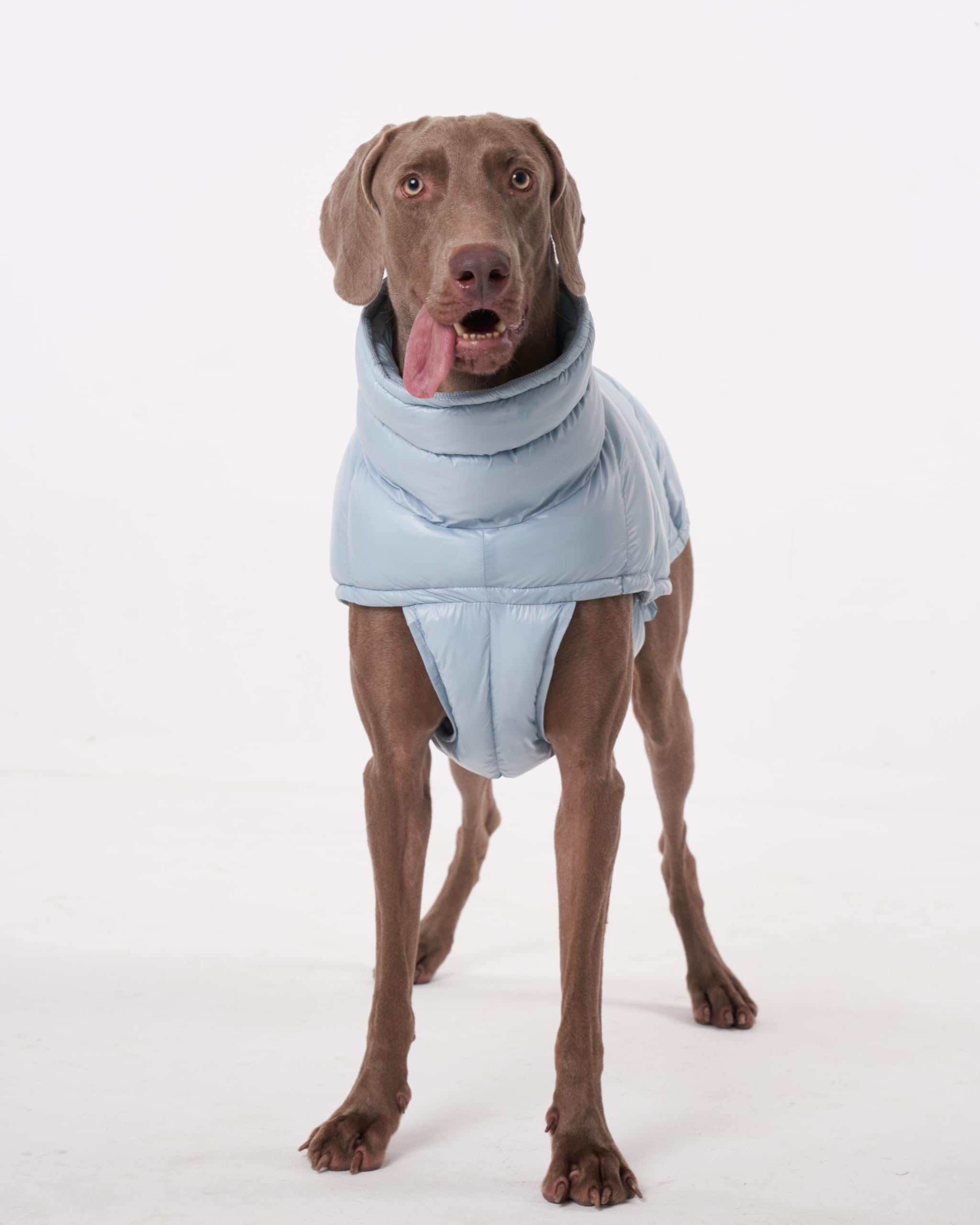 Chochocho Winter Dog Jacket, Cold Weather Coats, Lightweight, Thermal Insulated, Water-Resistant, Adjustable Dogs Jackets With L