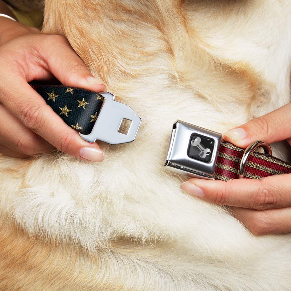 Buckle-Down Seatbelt Buckle Dog Collar - Vintage Us Flag Stretch - 1' Wide - Fits 15-26' Neck - Large