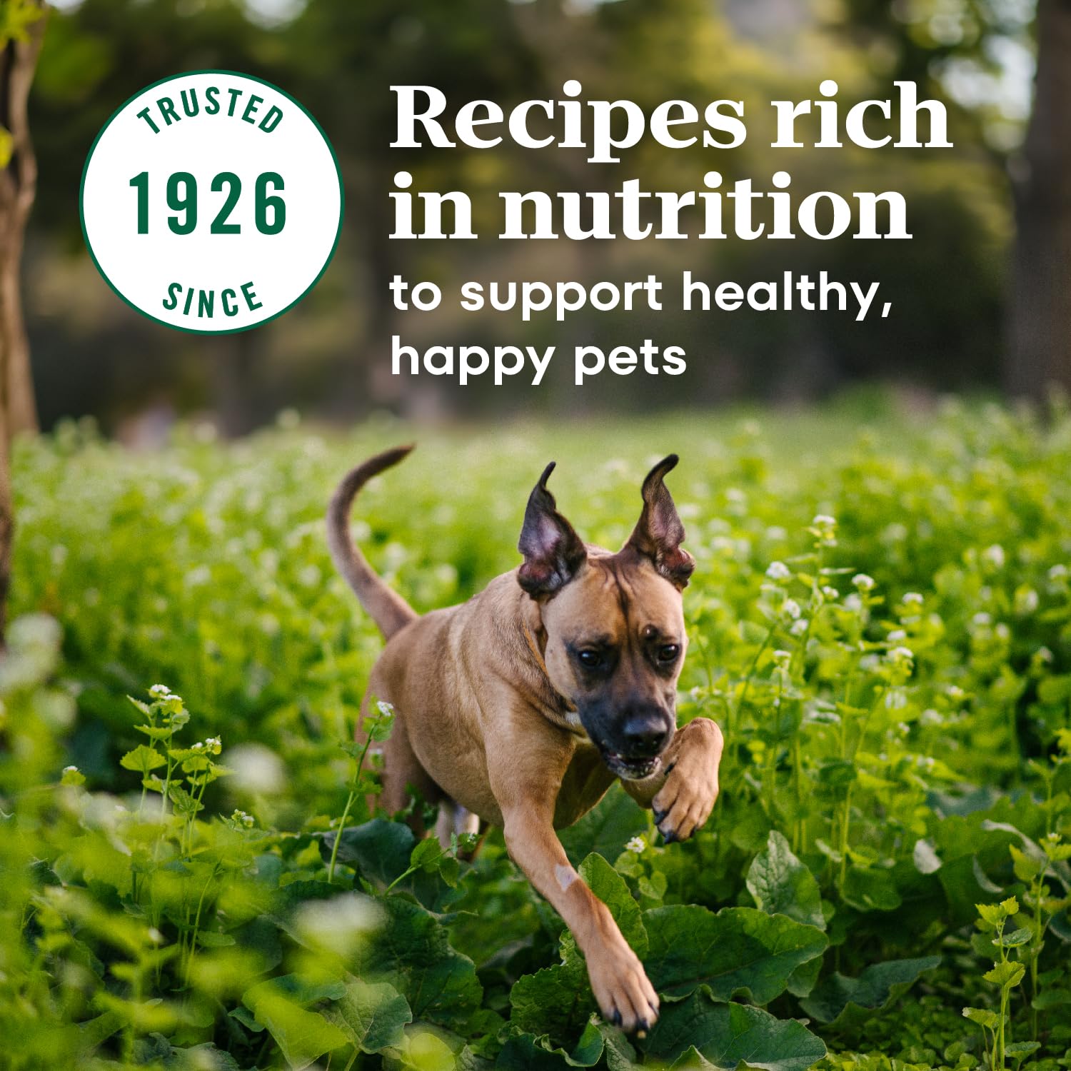 Nutro Max Large Breed Puppy Dry Dog Food with Farm-Raised Chicken, 25 lb Bag