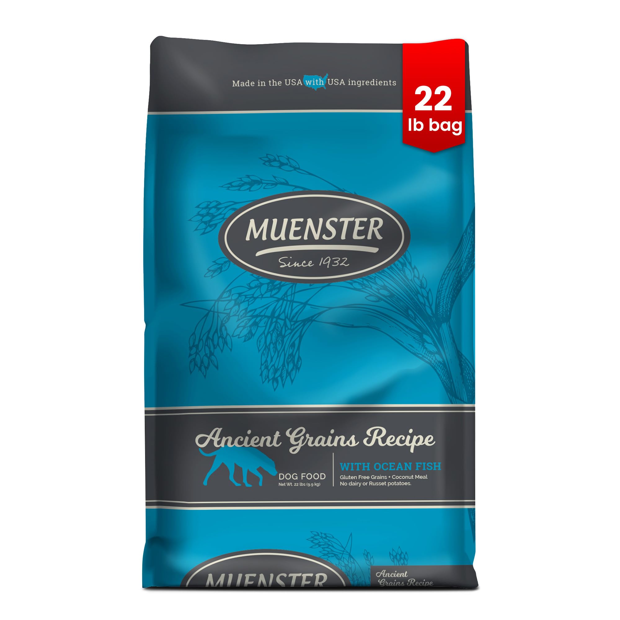 Muenster Ancient Grains Ocean Fish Dry Dog Food, 22lb - Gluten-Free, High Protein, Digestive Support