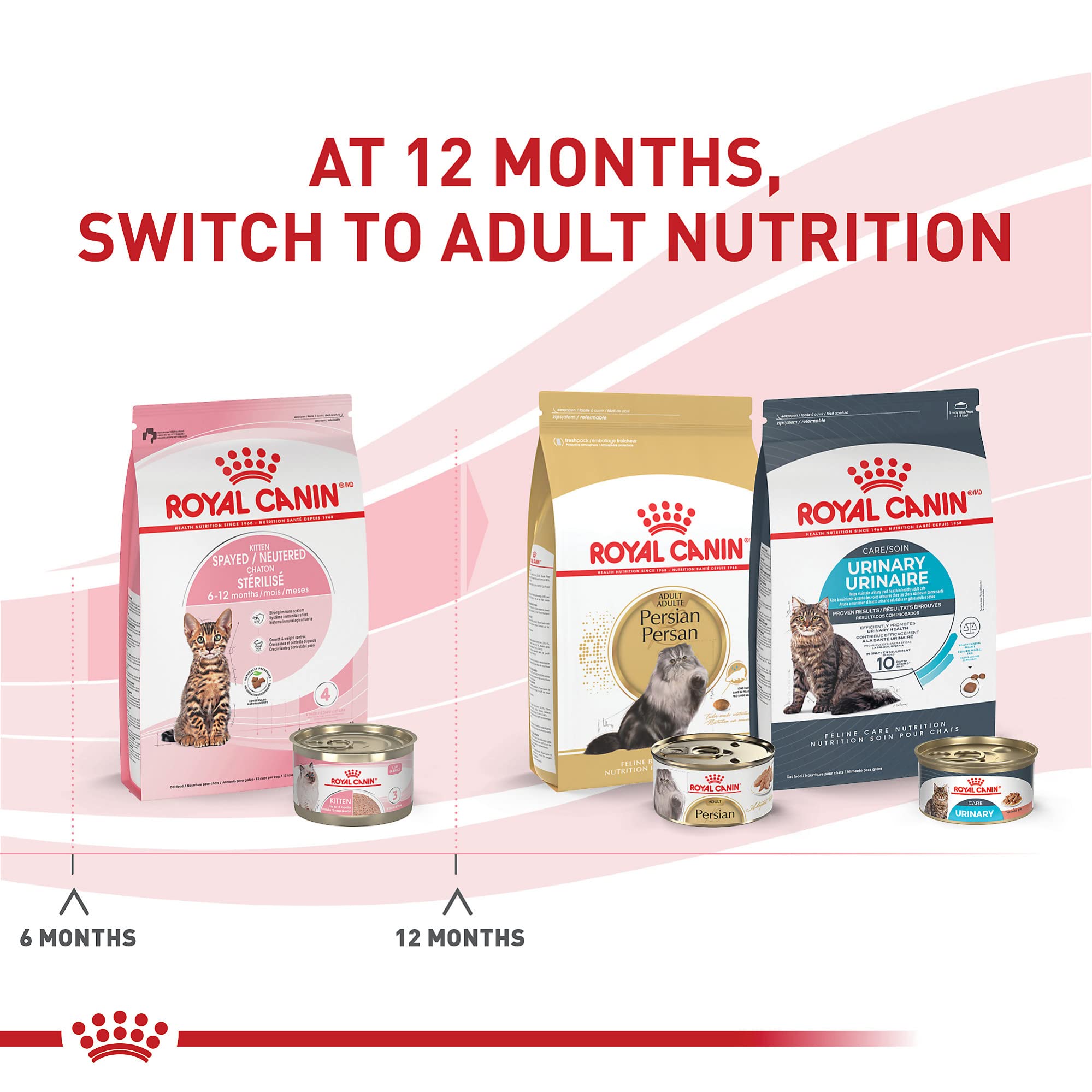 Royal Canin Feline Health Nutrition Kitten Spayed/Neutered Dry Cat Food, 2.5 lb Bag