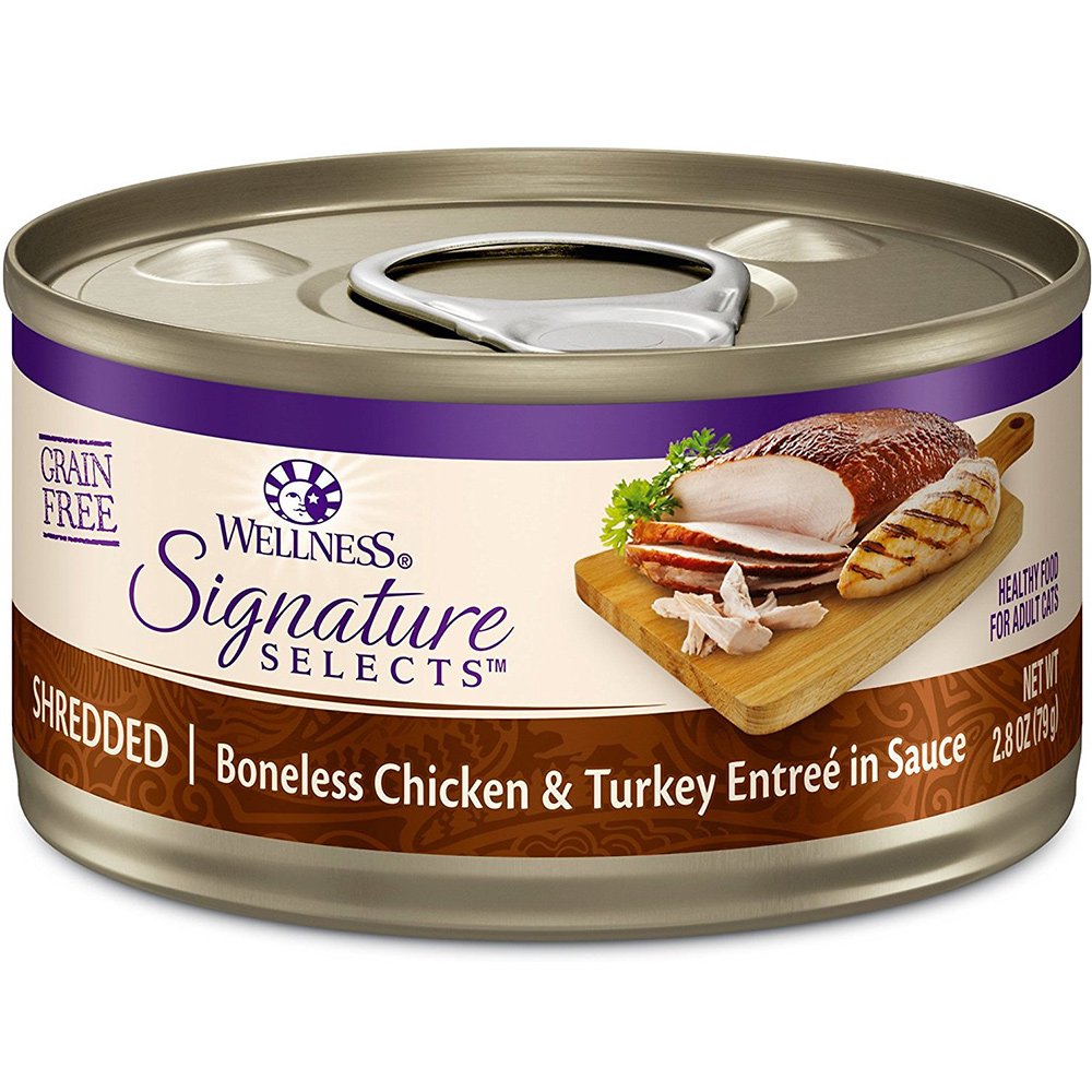 Wellness Canned Grain Free Wet Cat Food - Variety Bundle 4 Flavors Pack with Hotspot Pets Food Bowl (12 Cans) (Chicken & Beef, C