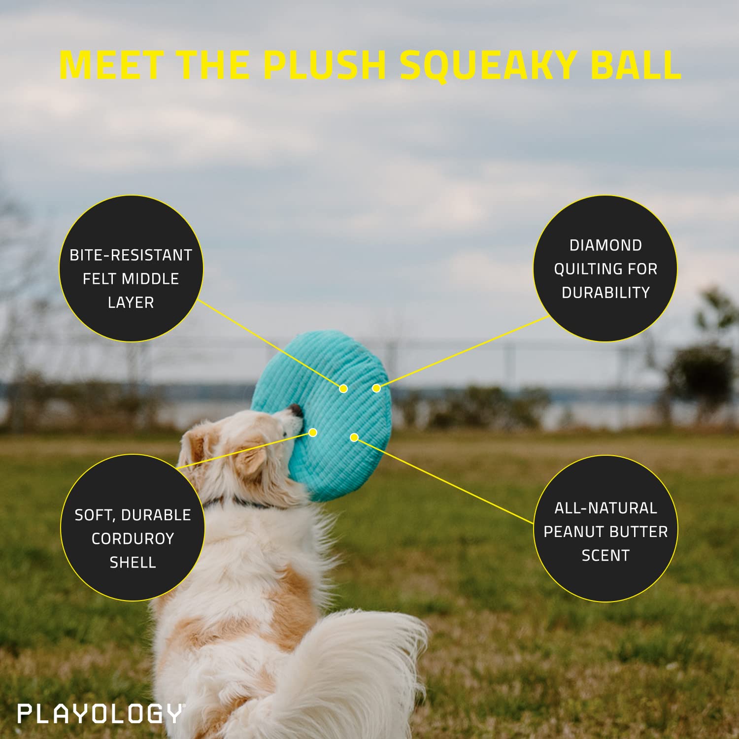 Playology Plush Squeaky Ball Dog Toy- Medium Dog Breeds (15-35 Lbs)- Engaging All-Natural Peanut Butter Scent
