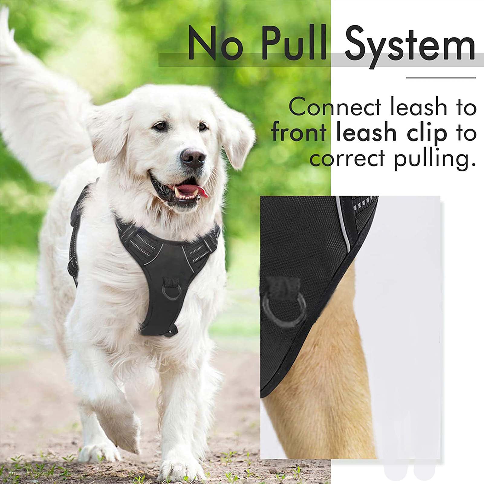 Qisebin Dog Harness, No-Pull Pet Harness With 2 Leash Clips, Adjustable Soft Padded Dog Vest, Reflective No-Choke Pet Oxford Vest With Easy Control Handle For Small Dogs, Black, M