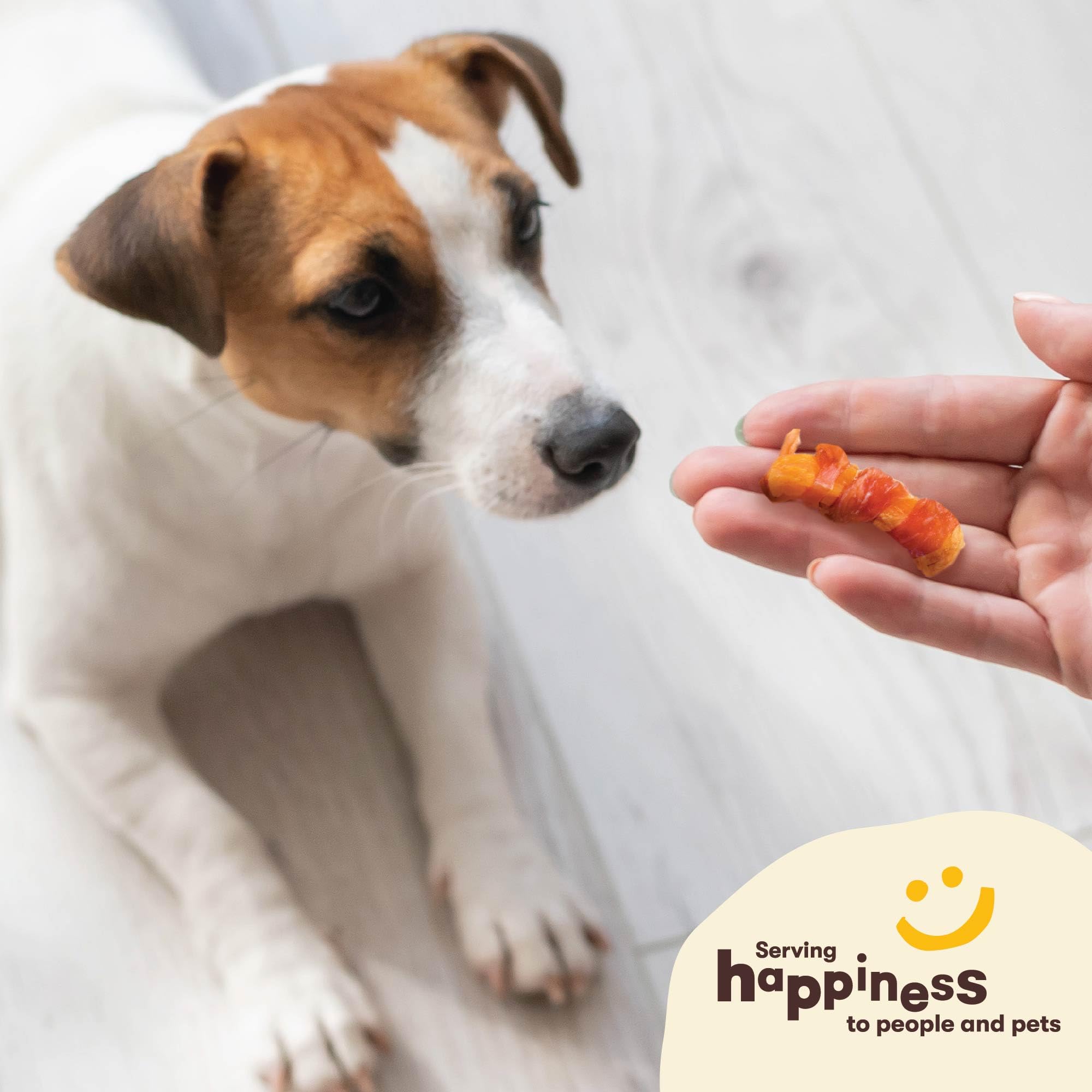 Pet n Shape Sweet Potato Chews Jerky Dog Treats - 1 Pound
