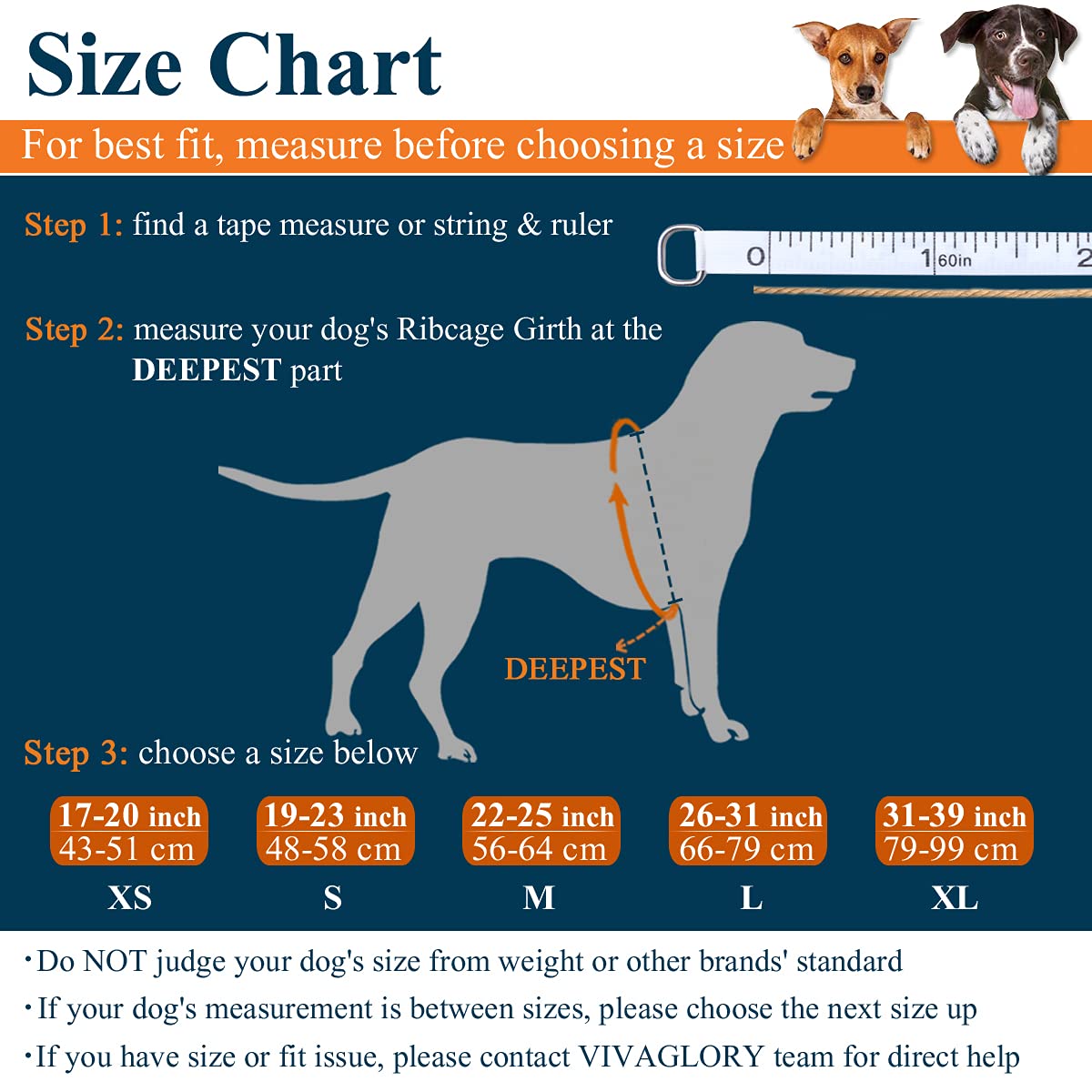 Vivaglory Sports Style Dog Life Jacket With Extra Flotation, Adjustable & Durable Swim Life Vest With Secure Fastening System Fo