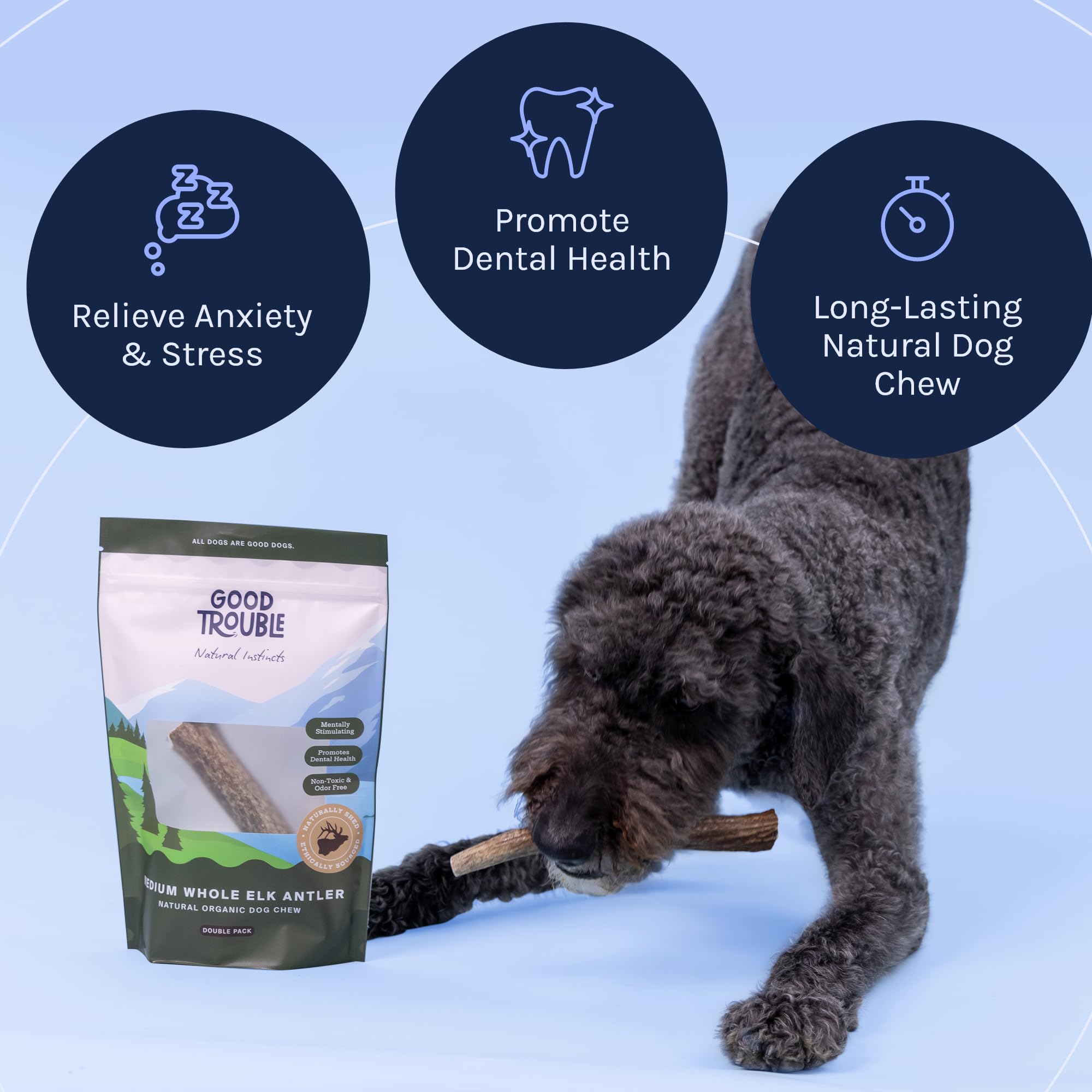 Good Trouble Premium Elk Antlers For Small Dogs - 2 Pack Split Pets - All-Natural, Shed Antler Chews For Dental Health & Calming