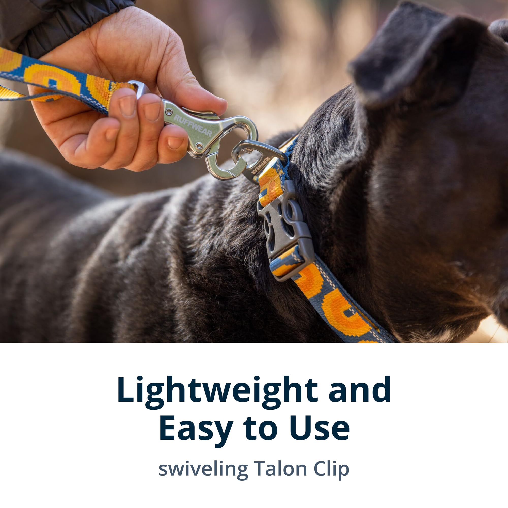 Ruffwear, Crag Dog Leash, Hand-Held Or Waist-Worn Reflective With Traffic Handle, Canyon Oxbow