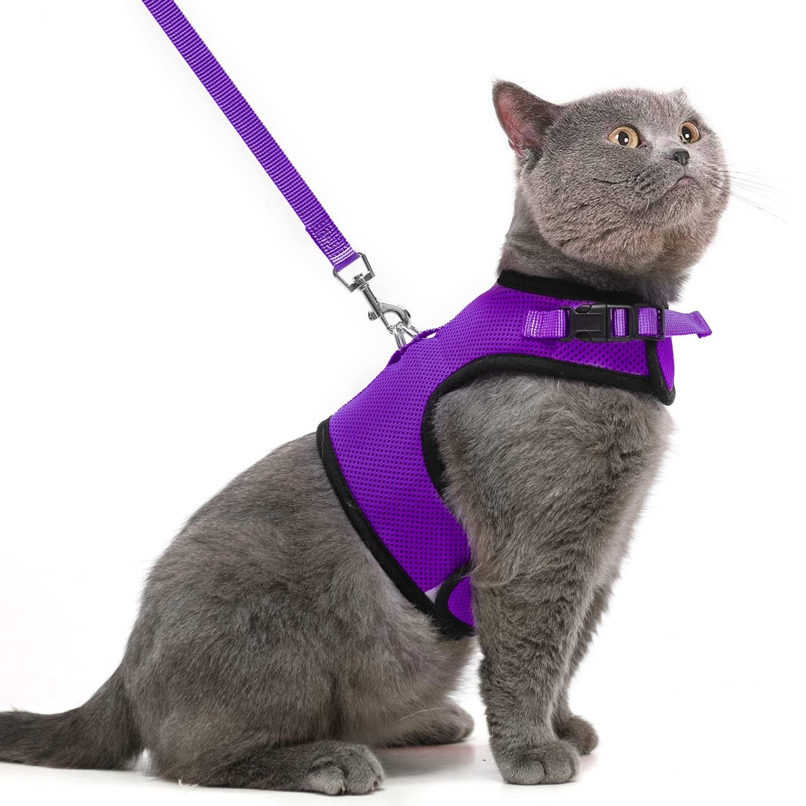 PUPTECK Soft Mesh Cat Vest Harness & Leash Set, Large, Purple, Escape Proof, Padded, for Small Dogs and Cats