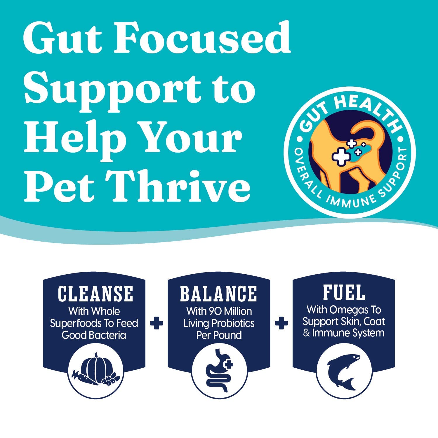 Solid Gold Indoor Dry Cat Food - Lets Stay in Cat Food Dry Kibble for Indoor Cats - Hairball & Sensitive Stomach - Grain & Glut