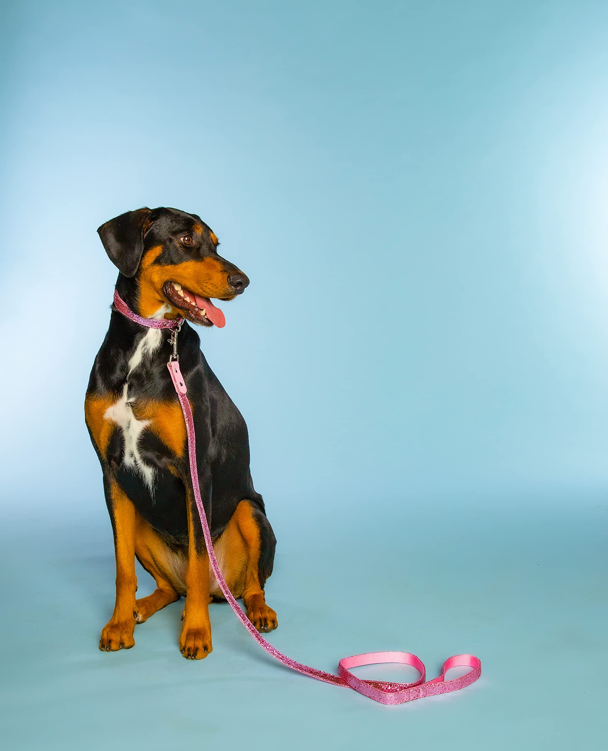 Dolly Doggy Parton Dog Harnesses And Leash/Collar Set Collection, Pink Dolly'S Pretty Little Set, X-Small