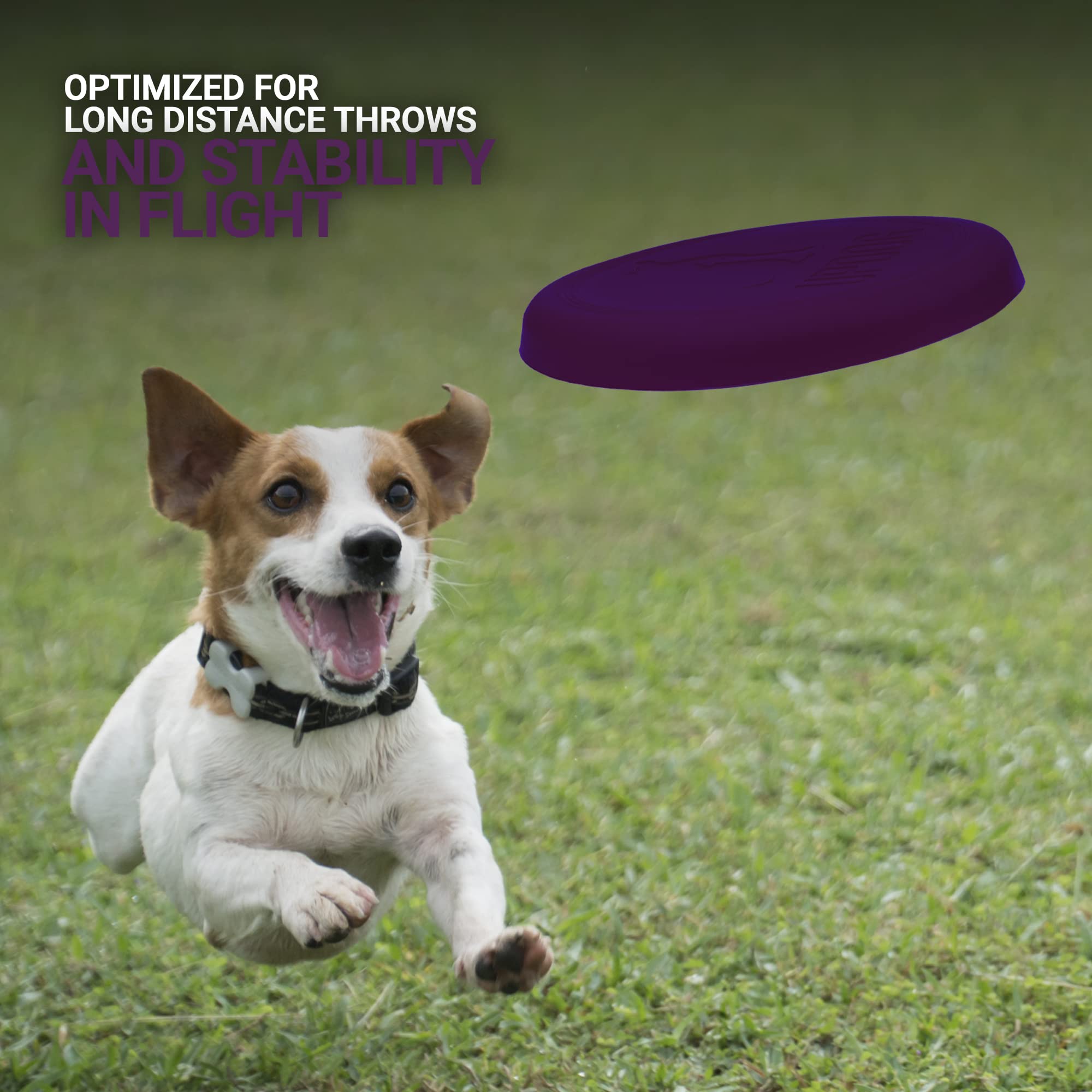 Updog Products 6-Inch Dog Frisbee Small, Lightweight And Durable Frisbee For Dogs Made In Usa Bright Colored Frisbee Dog Toy (Purple)