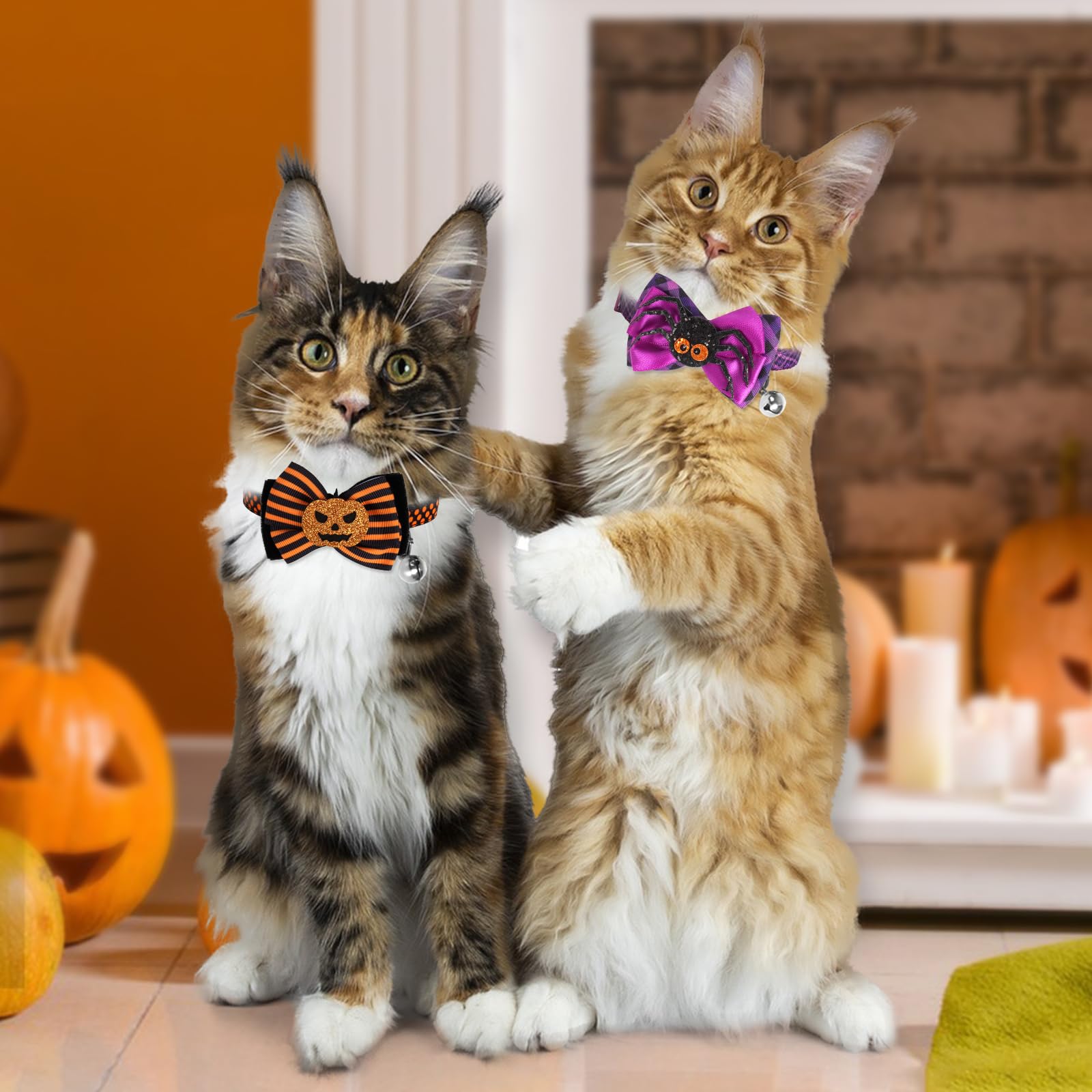Azuza Halloween Cat Collar Breakaway With Bell 2 Pack Bow Tie Cat Collar With Cute Sequined Pumpkin & Spider Cat Collar For Halloween Party Adjustable From 8' - 12'