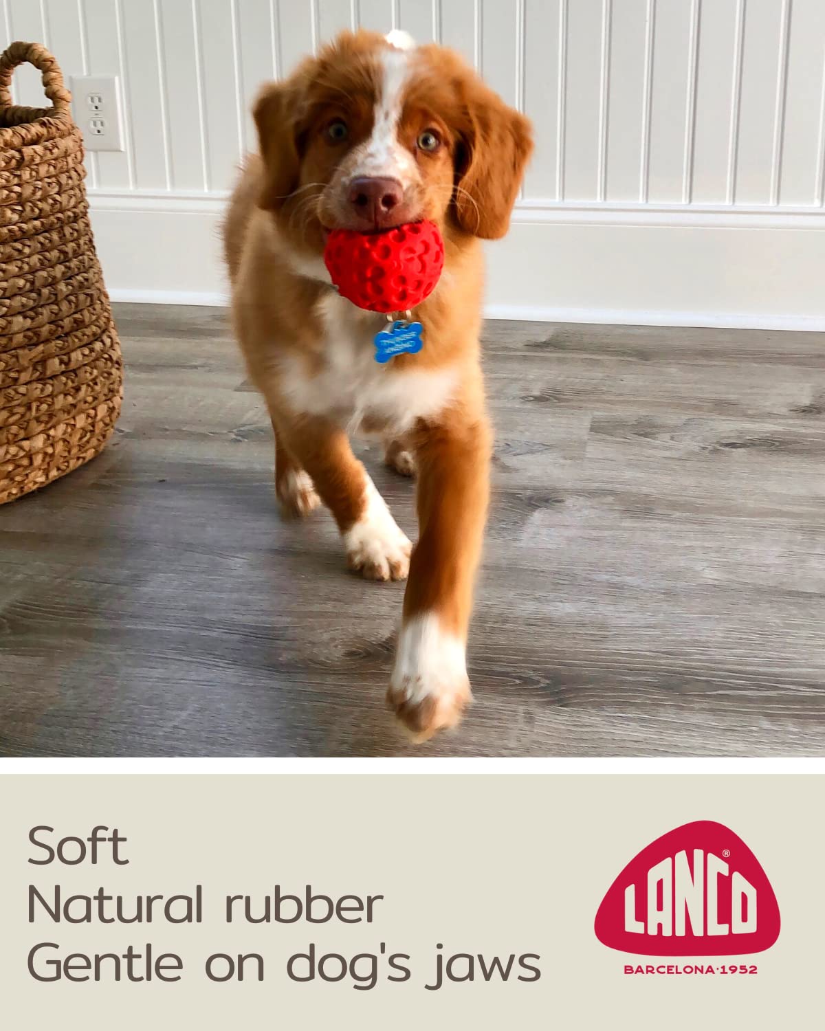 Small Ball Dog Toy - 100% Natural Rubber (Latex) - Soft Squeaky Dog Toy - Small Breeds Puppies - Indoor Play - Free From Harmful Chemicals - Small (2.35') - Set Of 2