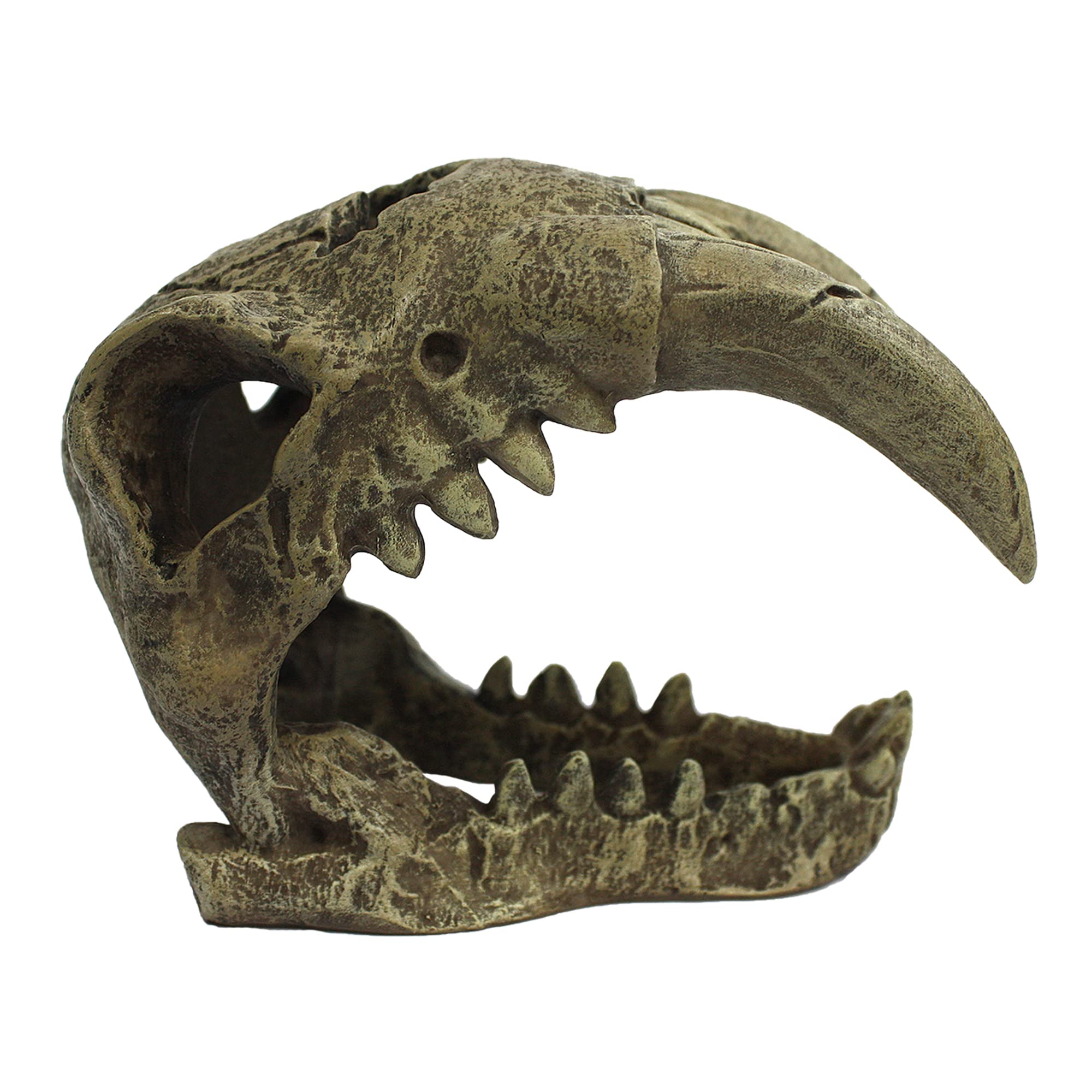 Komodo Saber Tooth Skull Terrarium Decoration