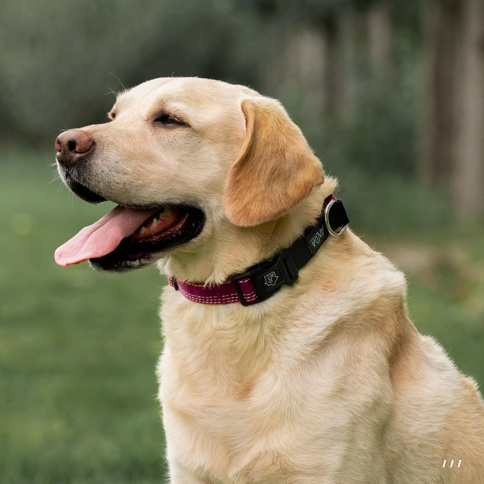 Anda Martingale Collar For Dogs, Double-Layered Composite Material With Buckle,No-Pull Training Collar For Easy Control With No