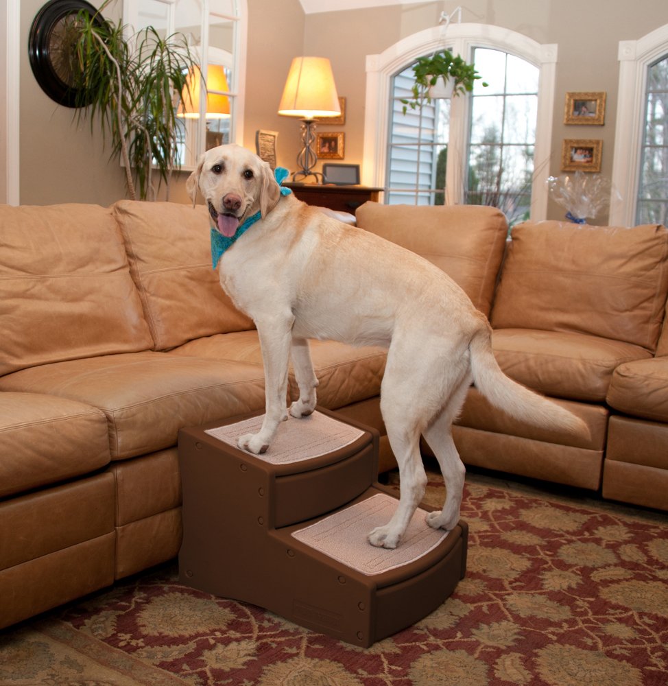 Pet Gear Easy Step Ii Extra Wide Pet Stairs, 2-Step/For Cats And Dogs Up To 200-Pounds, Chocolate, (Pg9720Xlch)