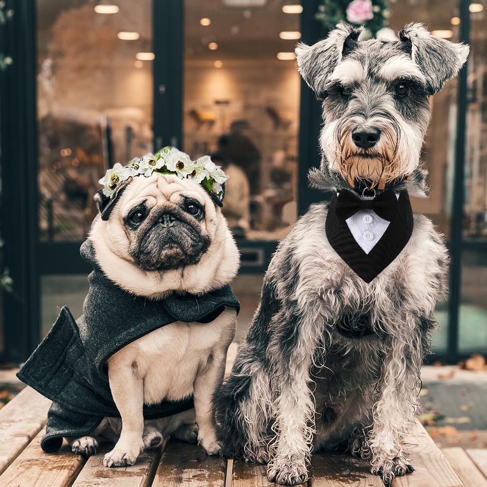 Dogtact Dog Wedding Bandana, Formal Dog Tuxedo Adjustable Pet Collar With Bow, Small, Medium And Large Dog Wedding Clothing, Birthday Gifts For Dogs (Small, Black)