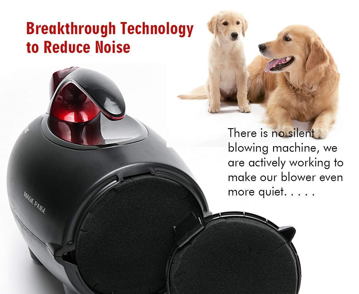 Shernbao High Velocity Professional Dog Pet Grooming Hair Drying Force Dryer Blower 4.5Hp (Pbd-701H)