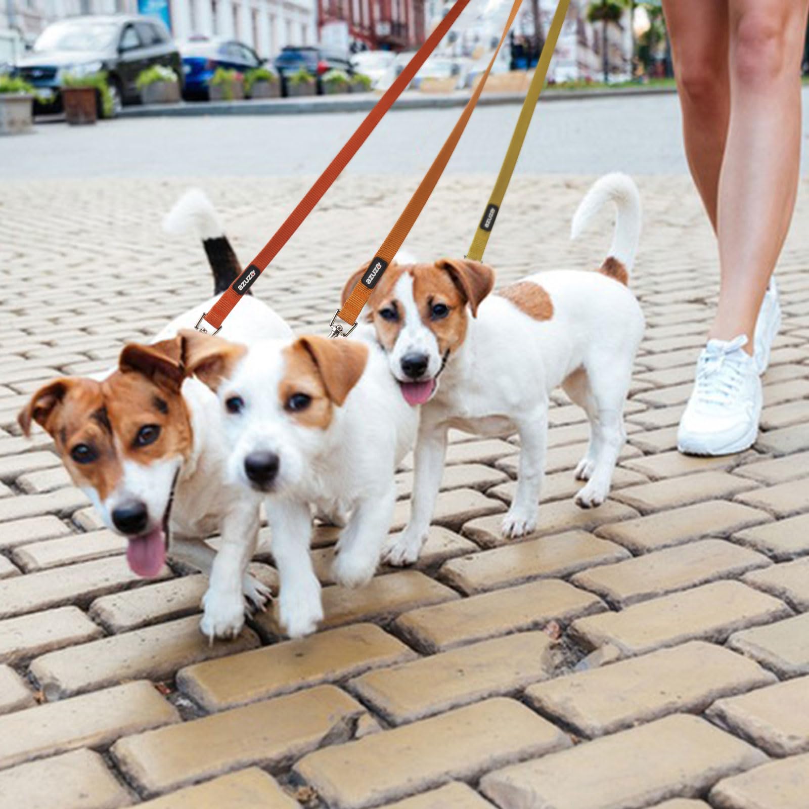Azuza 3 Pack Fall Nylon Dog Leashes Strong & Durable Basic Dog Leash With Easy To Use Collar Hook For Puppy And Small Dogs, Xs (