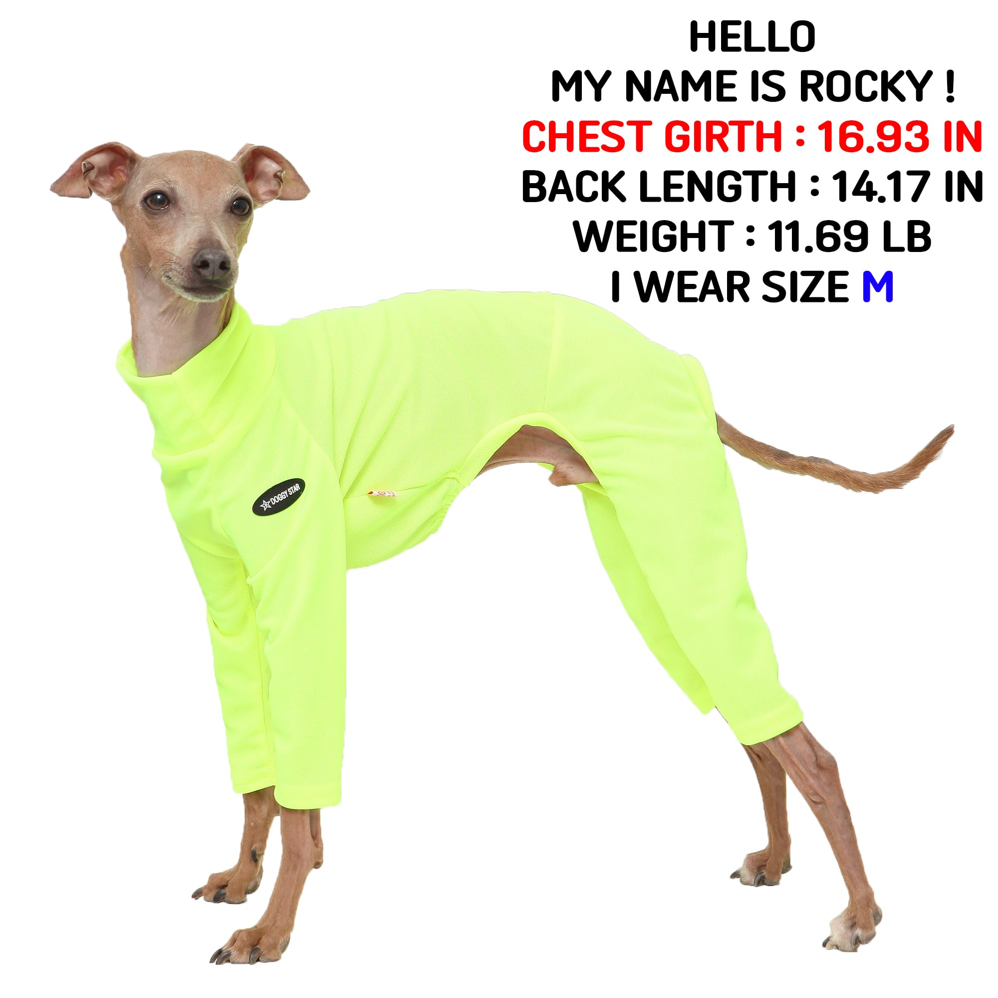 D Doggy Star Italian Greyhound Clothes Strechy Neon Onsie Spring Summer (M,Onsi Ne Yellow)